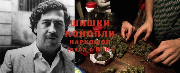спайс Мегион