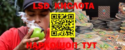 spice Краснокаменск