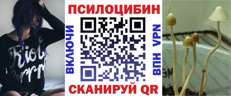 Галлюциногенные грибы Psilocybe  закладки  Шали 