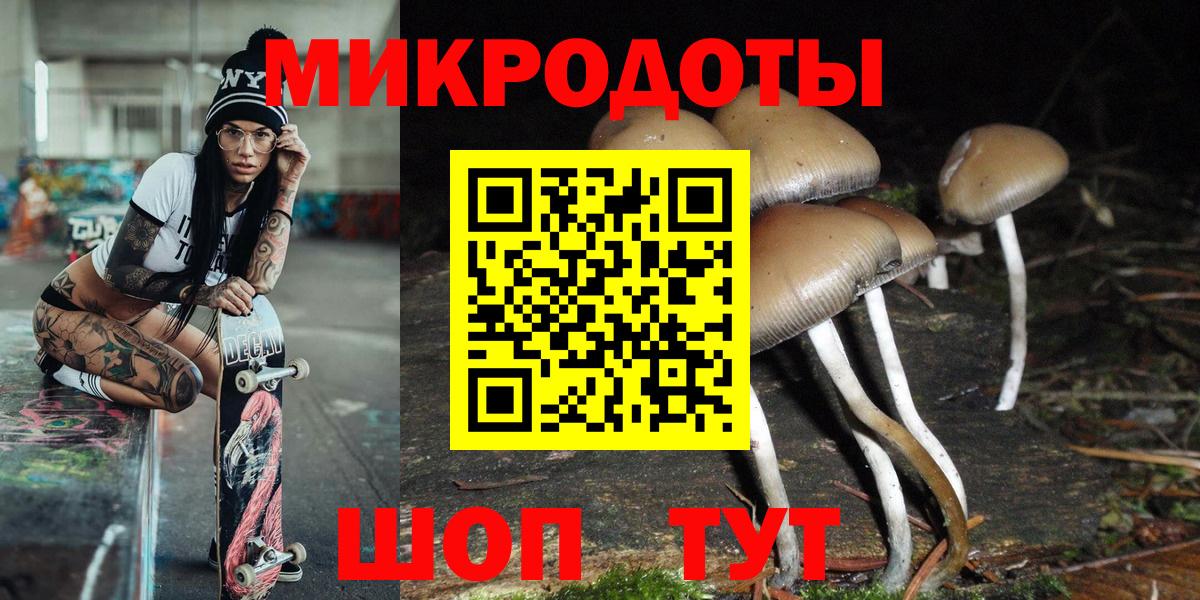 Галлюциногенные грибы прущие грибы  Вход с VPN  Галлюциногенные грибы Cubensis  Шали 