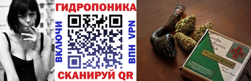 Канабис MAZAR  Шали 